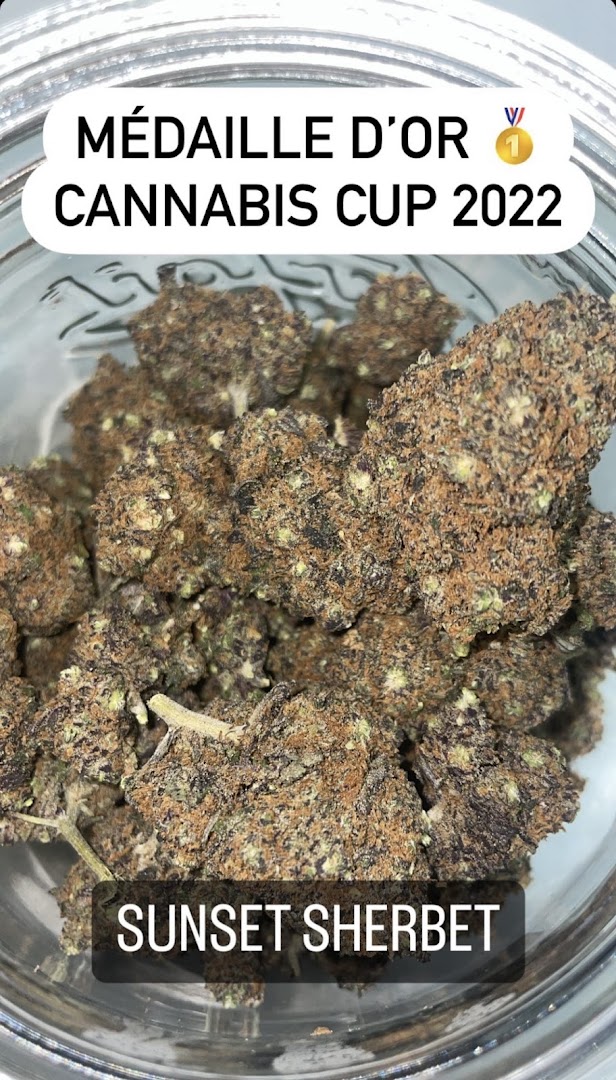 LA MAISON DU CBD · Photos 8